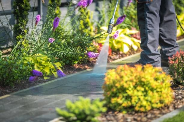 Best Gutter Cleaning  in Macungie, PA
