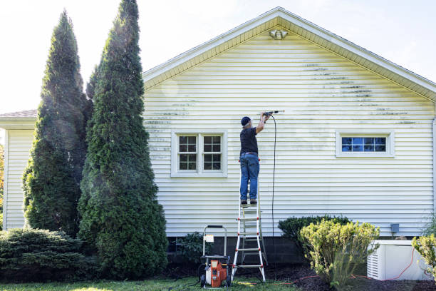 Best Driveway Pressure Washing  in Macungie, PA